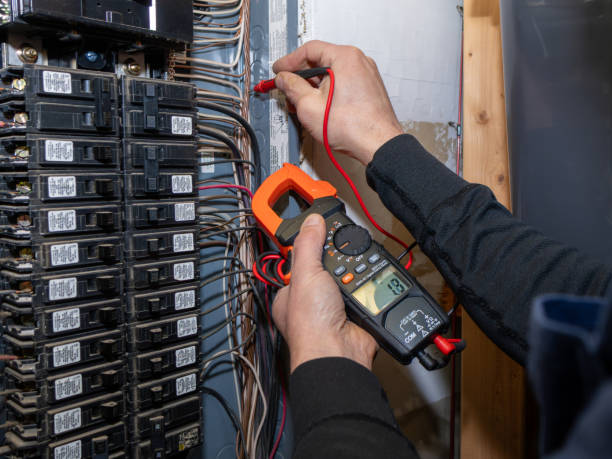 Best Ceiling Fan Installation Electrician  in Rochester, WI